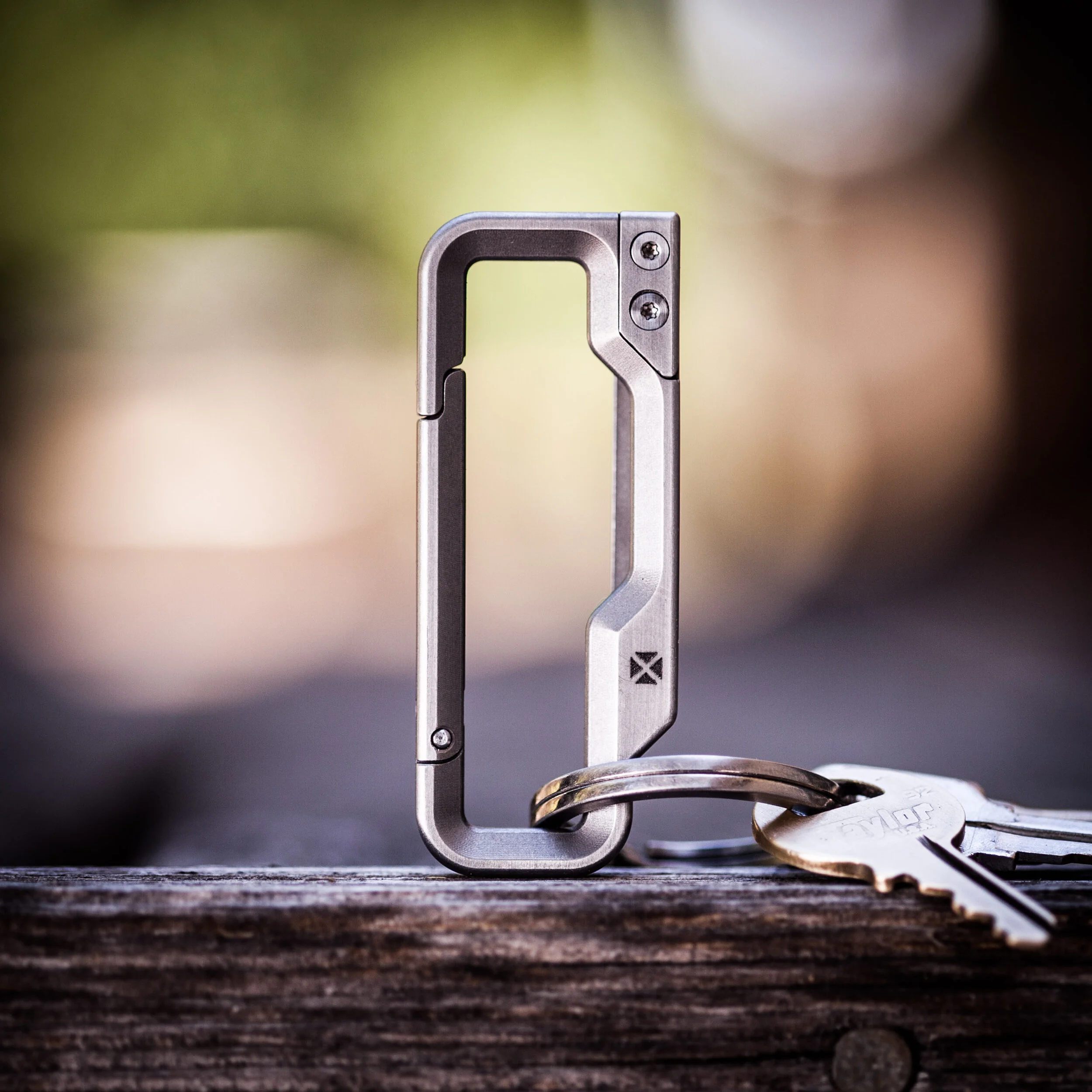 Titanium keychain hotsell carabiner